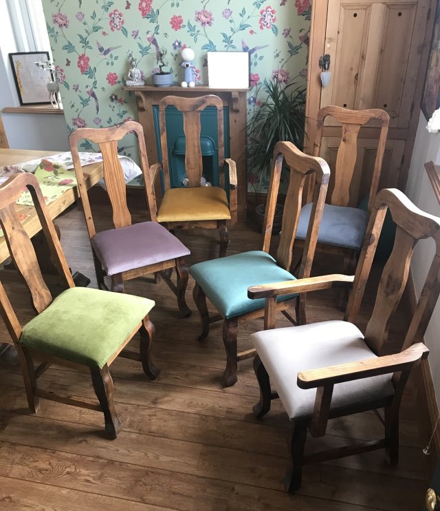 Set of wooden dining chairs reupholstered in different coloured velvet seats