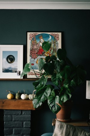 Fireplace mantel styled with framed art, small gourds and a potted plant
