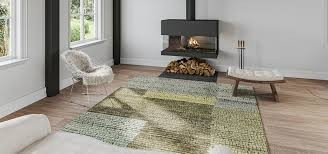 Living room with a wood-burning stove and a patterned area rug