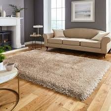 Textured beige rug in front of a sofa and fireplace