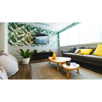 BLOOM Package - 1 Room